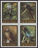 [Migratory Birds, ประเภท OA]