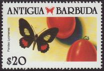 [Caribbean Butterflies, タイプ XR]