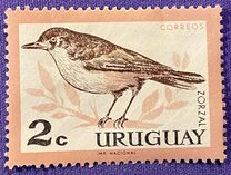 [Birds, type PE]