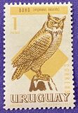 [Birds, type UA]