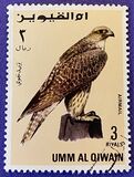[Birds - Falcons, type HW]