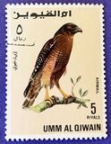 [Birds - Falcons, type HX]