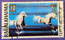 [Horses, type WN]