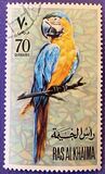 [Parrots, tegund WW]