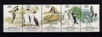 [Regional Wildlife, 類型 BC]