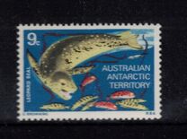[Marine Life and Aircraft in the Service of Antarctic Research, tip AA]