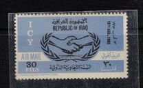 [Airmail - International Co-operation Year, type DR2]