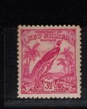 [Bird of Paradise - without Date Scrolls, タイプ E3]