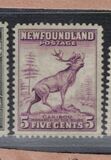 [Newfoundland Issue, type DS]