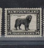 [Newfoundland Issue, type DV1]