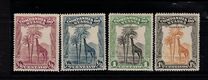 [Giraffe, type N]