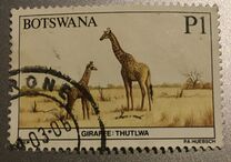 [Animals of Botswana, тып PC]