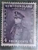 [Newfoundland Issue, type DR]