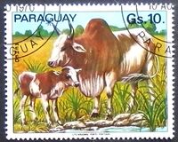 [Airmail - Domestic Animals, タイプ BMP]