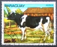 [Airmail - Domestic Animals, タイプ BMQ]