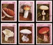 [Fungi, tegund AST]