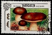 [Mushrooms, тып CCZ]