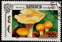 [Mushrooms, тып CCX]