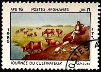 [Farmers' Day, סוג AAV]