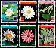 [Flora - Flowers, tip AOD]