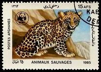 [WWF - Leopard, type ADK]