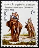 [Indian Elephant, Tip TF]