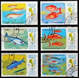 [Fish of Mekong River, type YU]