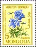 [Flowers, type EL]