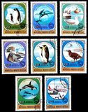 [Antarctic Exploration, වර්ගය ZWG]