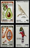 [Mexican Flora and Fauna, typ BIT]