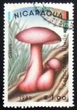 [Airmail - Mushrooms, type BOD]