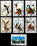 [Fauna - Birds, タイプ ACZ]