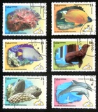 [The 50th Anniversary of the National Aquarium, type IEE]