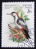 [Protected Birds, type ETQ]
