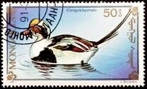 [Chicken, Geese and Birds, タイプ CBH]