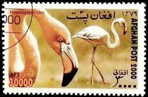 [Fauna - Birds, type AVC]
