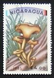 [Airmail - Mushrooms, type BOE]