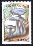 [Airmail - Mushrooms, type BOF]