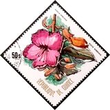 [Flowers of Guinea, type PB]