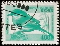 [Not Issued - Birds, type QRL]
