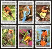 [Birds, type ARY]