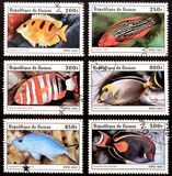 [Fish, type AUB]