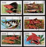 [Popular Aquarium Fish, Tipi BDA]