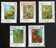 [The 5th Latin American Botanical Congress, type ETC]
