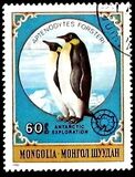 [Antarctic Exploration, වර්ගය ZWK]