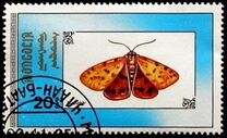 [Butterflies, Typ BYM]