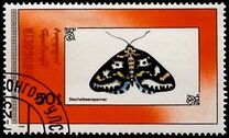 [Butterflies, Typ BYP]
