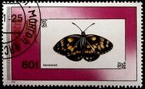 [Butterflies, Typ BYQ]