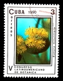 [The 5th Latin American Botanical Congress, type ETC]