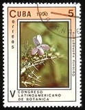 [The 5th Latin American Botanical Congress, type ETD]